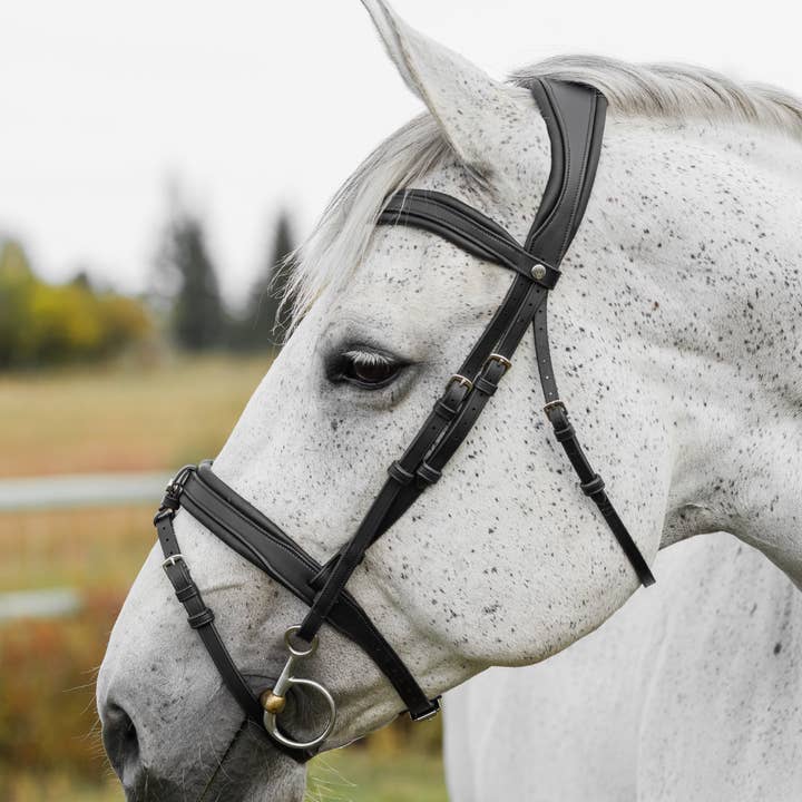 Bride douce pour la vente par CommonWealth