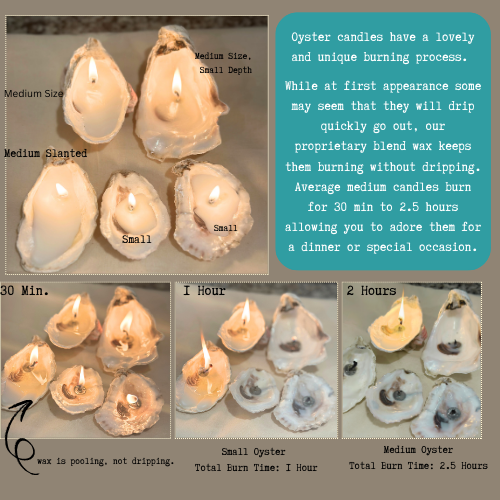 Martini Candle Co. - Vente Bougies originales - Bougie Coquille d'Huître Parfumée Originale Fait Main en Cire d'Abeille et Soja5
