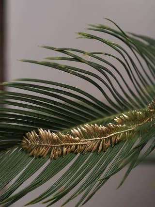 Capa Raiz de Latão FERNMAX por atacado de CAPELLINA