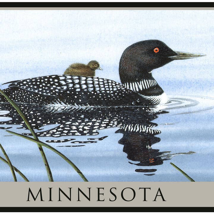 Aimant BA Loon et Chick d'Ottertail Minnesota pour la vente par Kalan Souvenir
