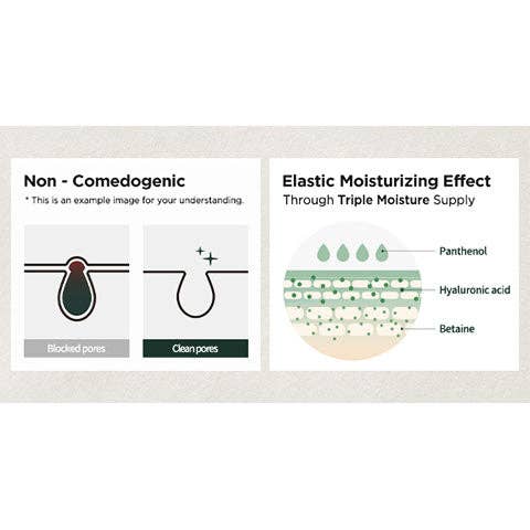 Palace Beauty Galleria - Wholesale Facial Serum/Concentrate - Anua Heartleaf 80% Soothing Ampoule 30ml / 1.01 fl.oz.9