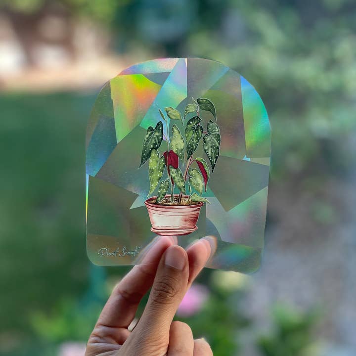 Plant Scouts - Wholesale Suncatcher - Rainbow Maker Suncatcher Window Decal Sticker - Begonia1
