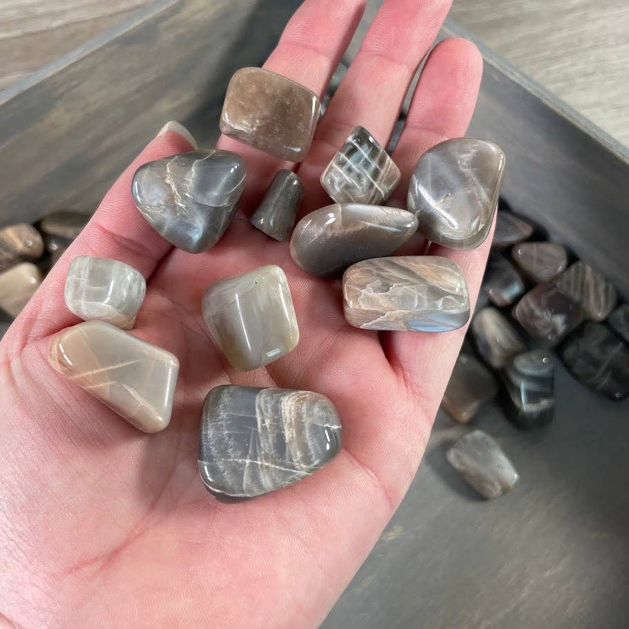 Keystone Crystals - Wholesale Spiritual Stone/Crystal - Black Moonstone Tumbled Stones – 1 lb Wholesale Lot8