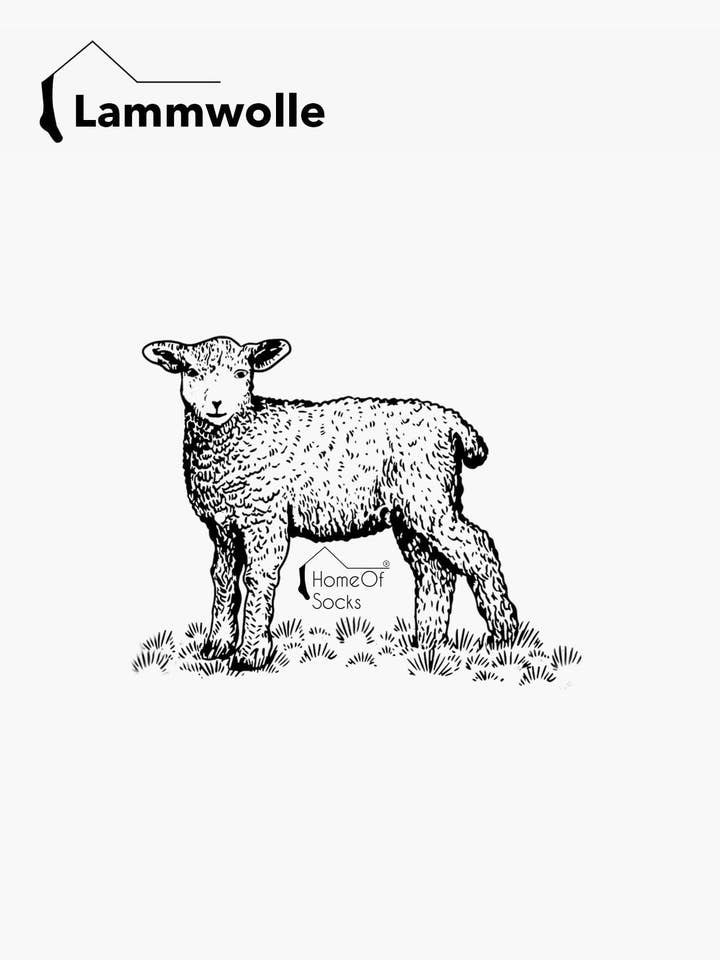 HomeOfSocks - Wholesale Socks - Unisex - A pair of knee-high socks made of 70% lambswool with a cable pattern5