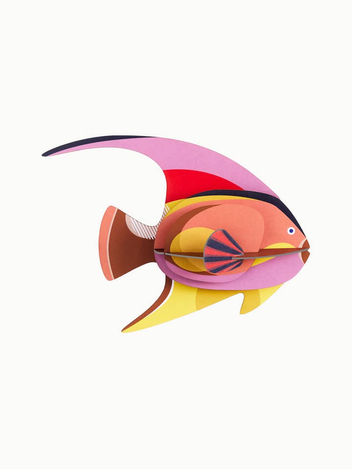 3D Wall Art - Sea Creature - Blackcap Fish for wholesale by Studio Roof