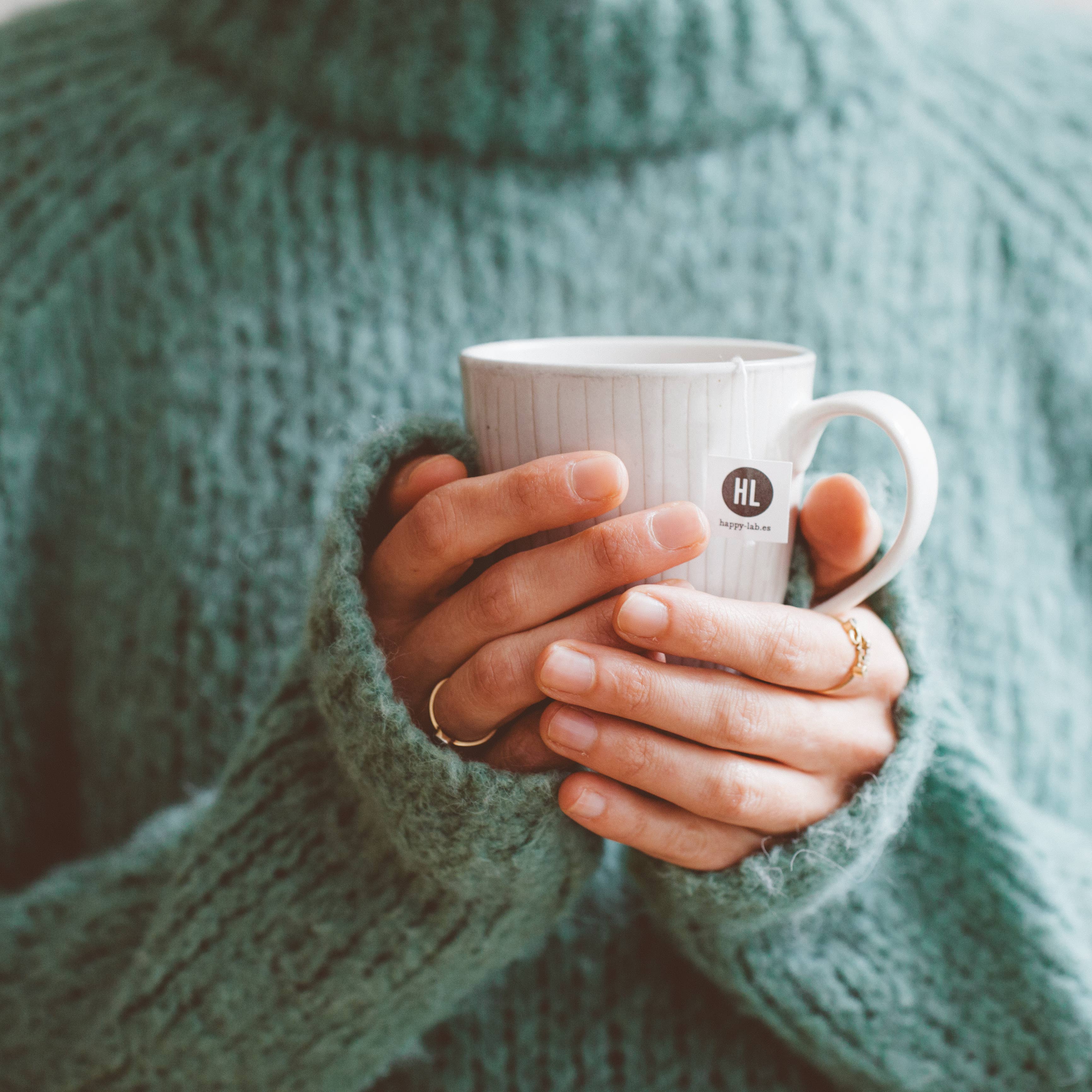 Gourmandise - Wholesale Health/Detox Tea - Organic herbal tea Happy-Lab Echinacea Ecopack 25 pyramids1