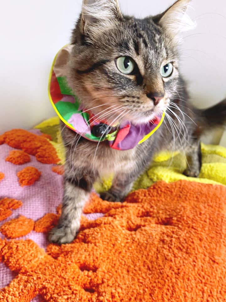 Le lit « Cloud » pour la vente par ProbaHome