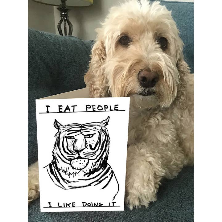David Shrigley x Brainbox Candy - Wholesale Everyday greeting card - Funny Greetings Card By David Shrigley - I Eat People5