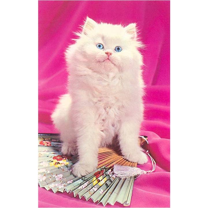 Magnet NP-411 Alert Fluffy Kitten for wholesale by Found Image Press