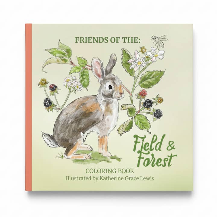 Friends of the Field and Forest Coloring Book Paperback for wholesale by Ingrid Press