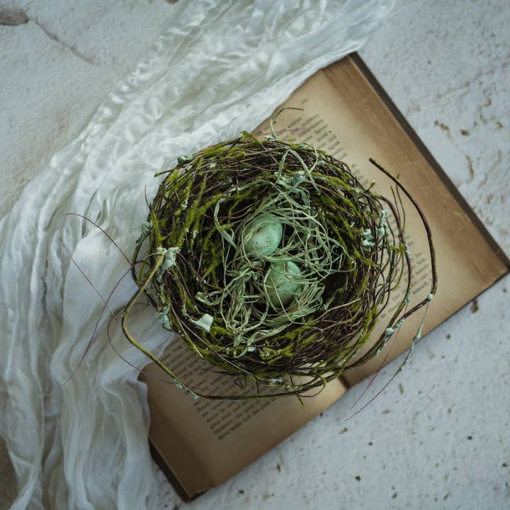 6" AQUA TWIG BIRD NEST for wholesale by Ragon House