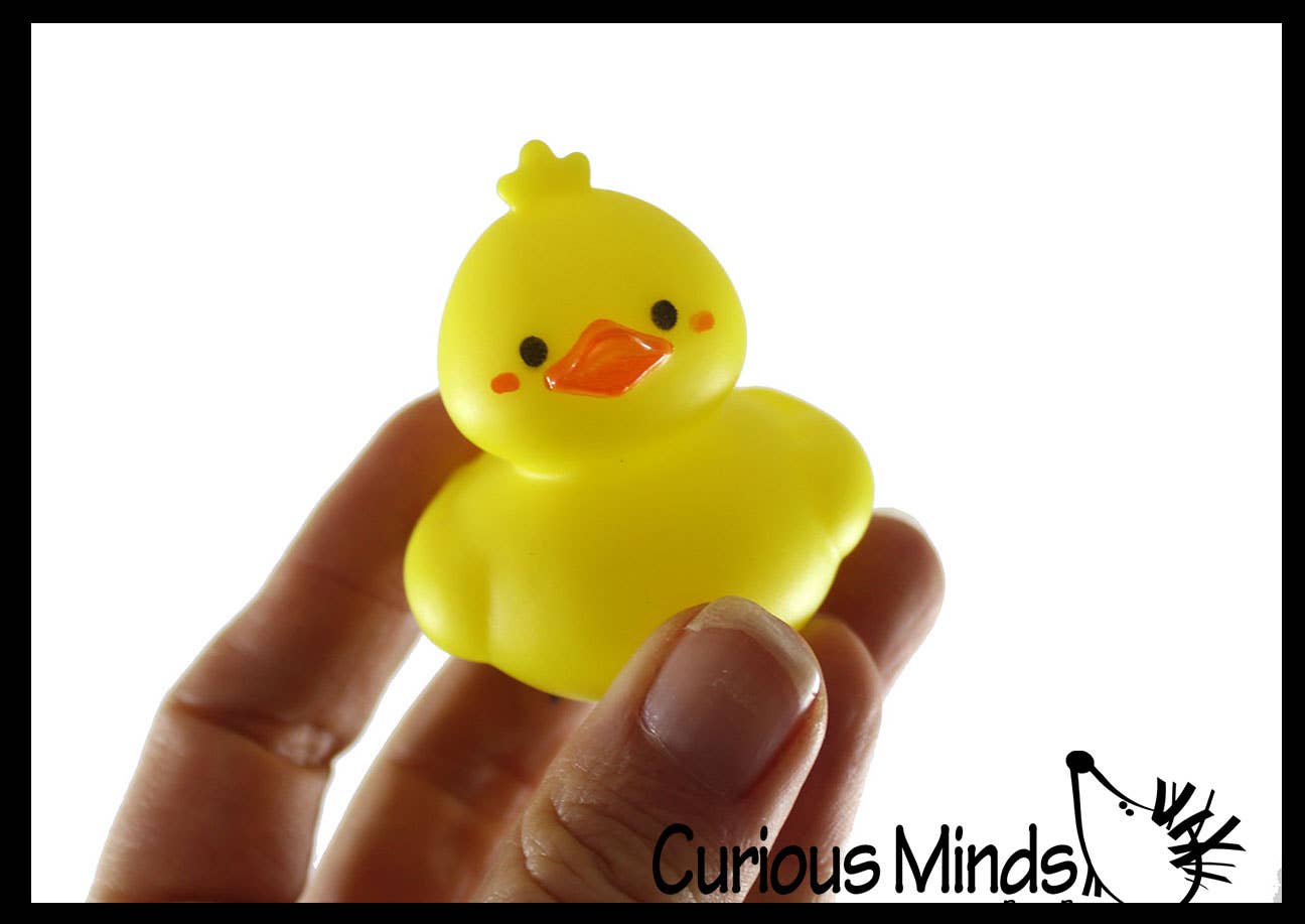 Curious Minds Toys – wholesale Bath toy – Baby – 1 Cute Spring Animal Shaped Kawaii 2" Rubber Ducks - Rubber 4