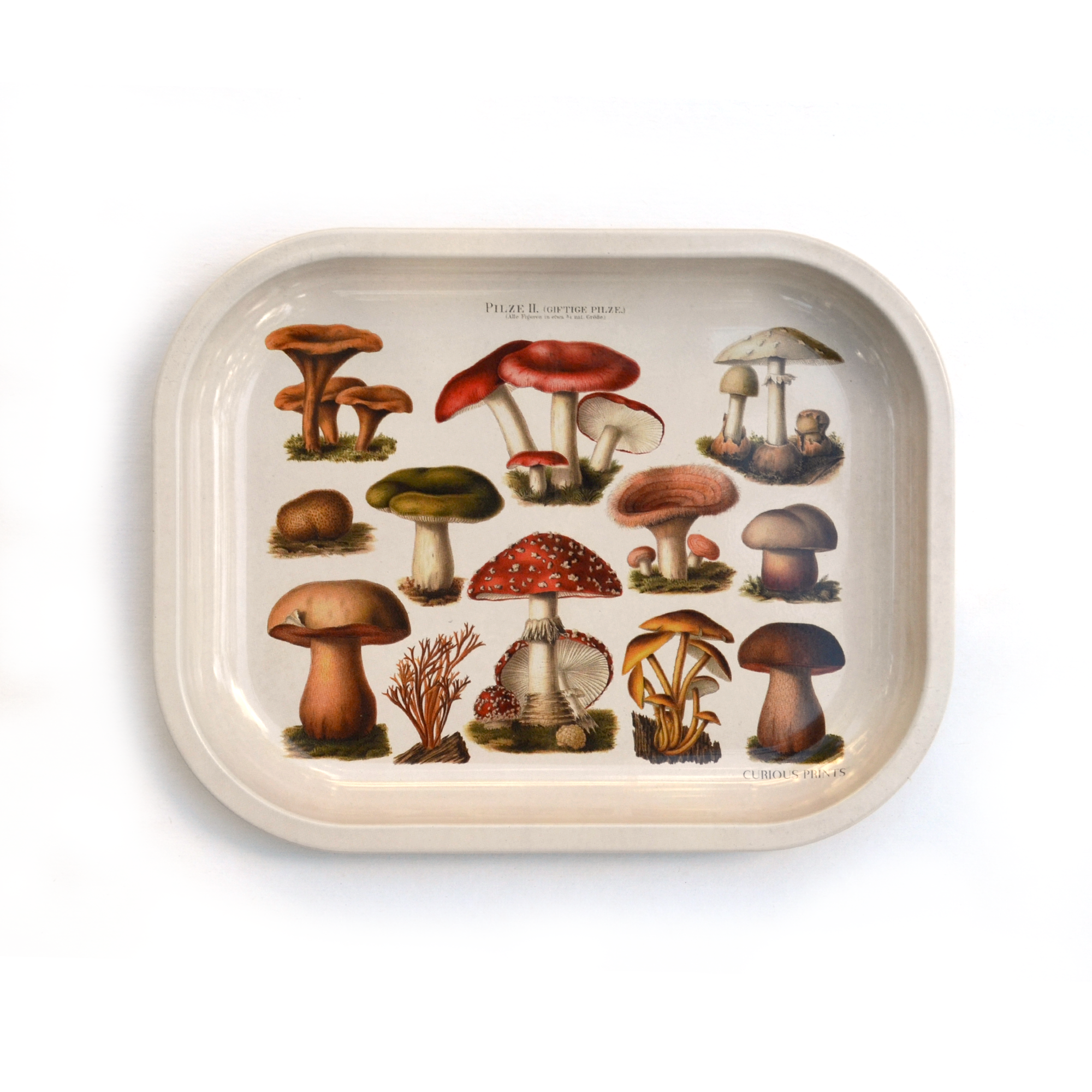 Curious Prints - Wholesale Decorative Tray - Small Metal Tan Mushroom Ritual Tray / Vintage Illustration1