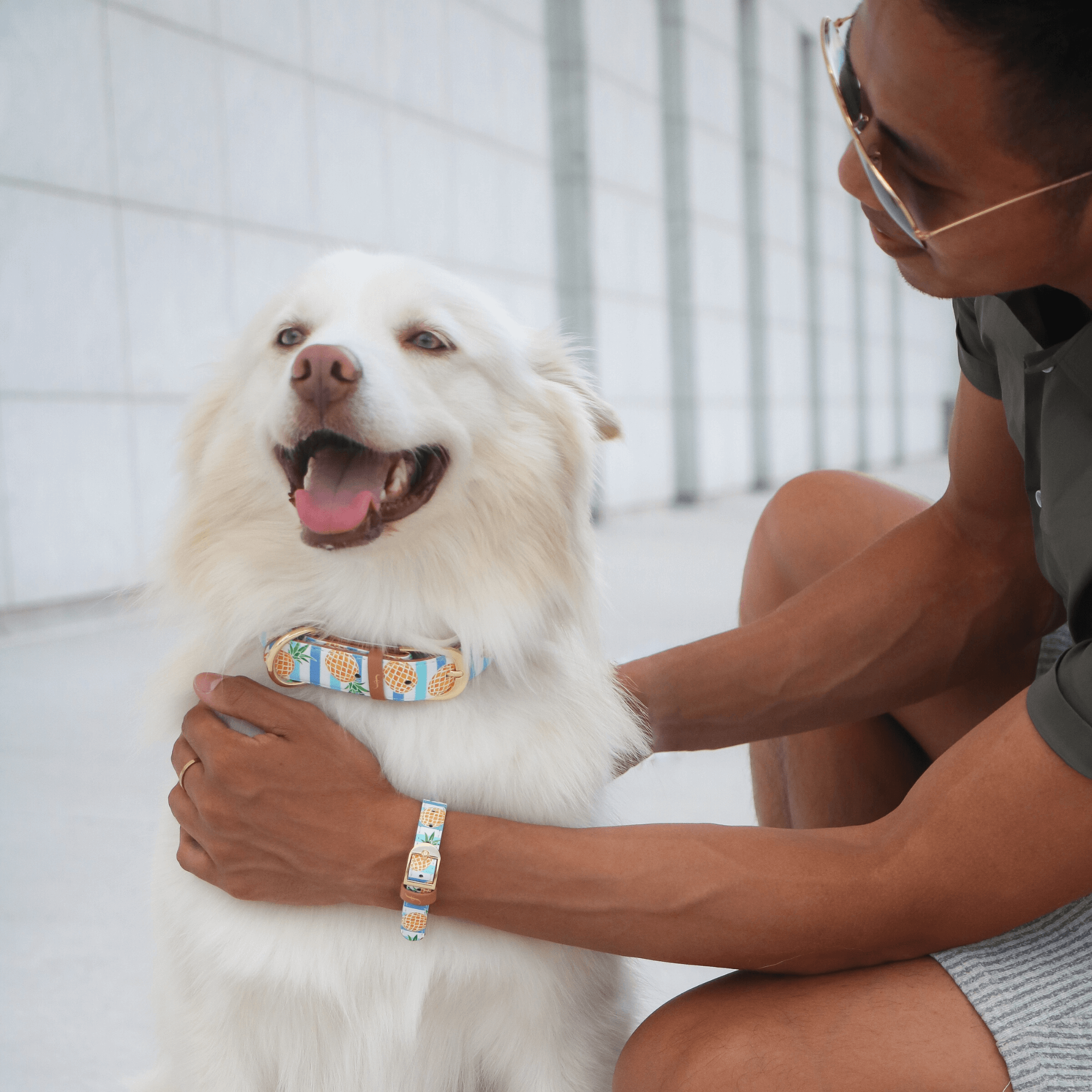 Friendship Collar – wholesale Pet collar – Dog – Pina Collarda3