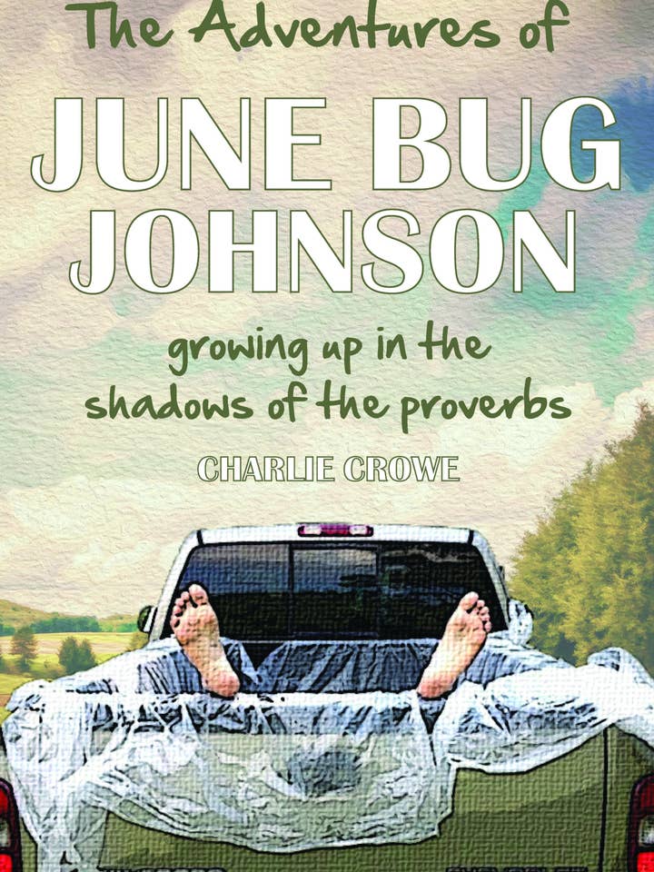 Adventures Of June Bug Johnson for wholesale by Baker & Taylor Publisher Services