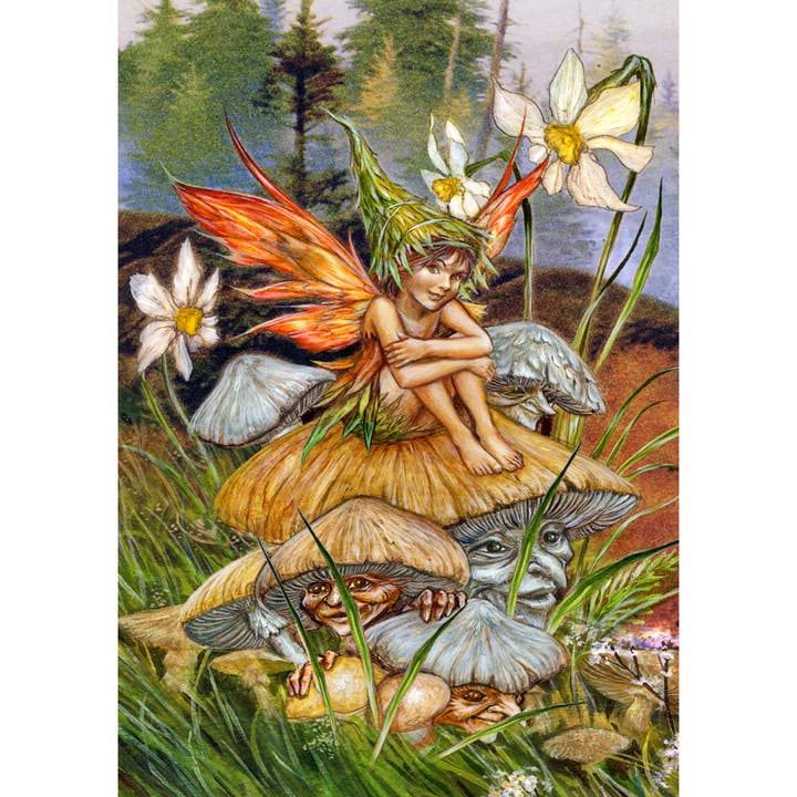 Svampälva A4 Affischtryck i A3 Passepartout - Bild av Briar för wholesale av Eastgate Resource