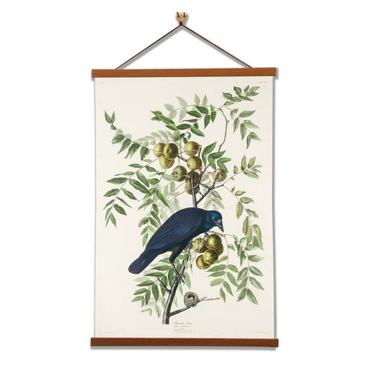 Vintage Banners - Wholesale Art Print - American Crow - John James Audubon - Wall Art Canvas