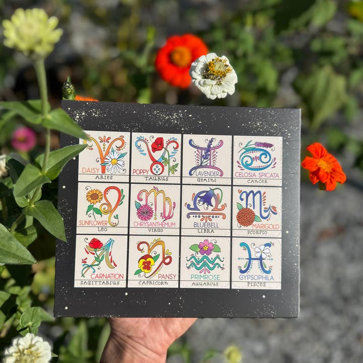 Sow the Magic - Wholesale Plant Seeds - Zodiac Flower Seed Ball Flower Planting Set6