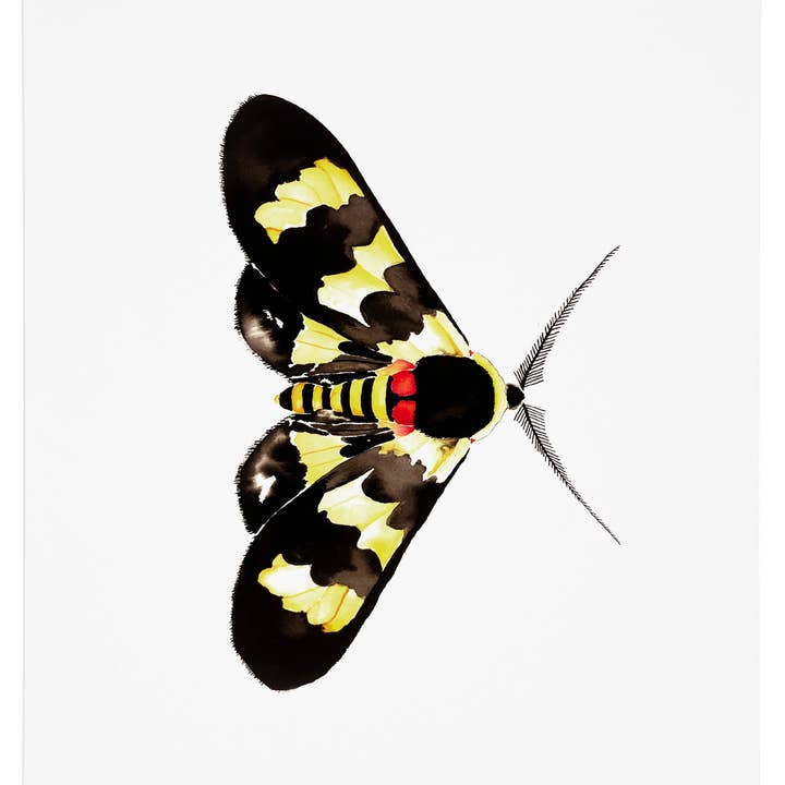 Mot 5 Art Print voor wholesale door J6R6