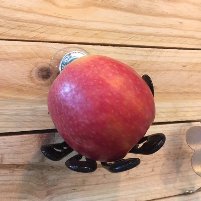 STILIC FORCE - La boutique du futur - Wholesale Kitchen Tool/Gadget - THE HAND3