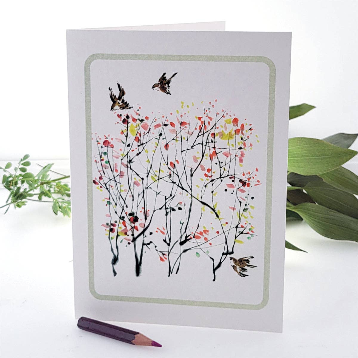 Forever Cards Ltd – wholesale Everyday greeting card – Sparrows and Blossom Blank Birds Everyday Greeting Card0