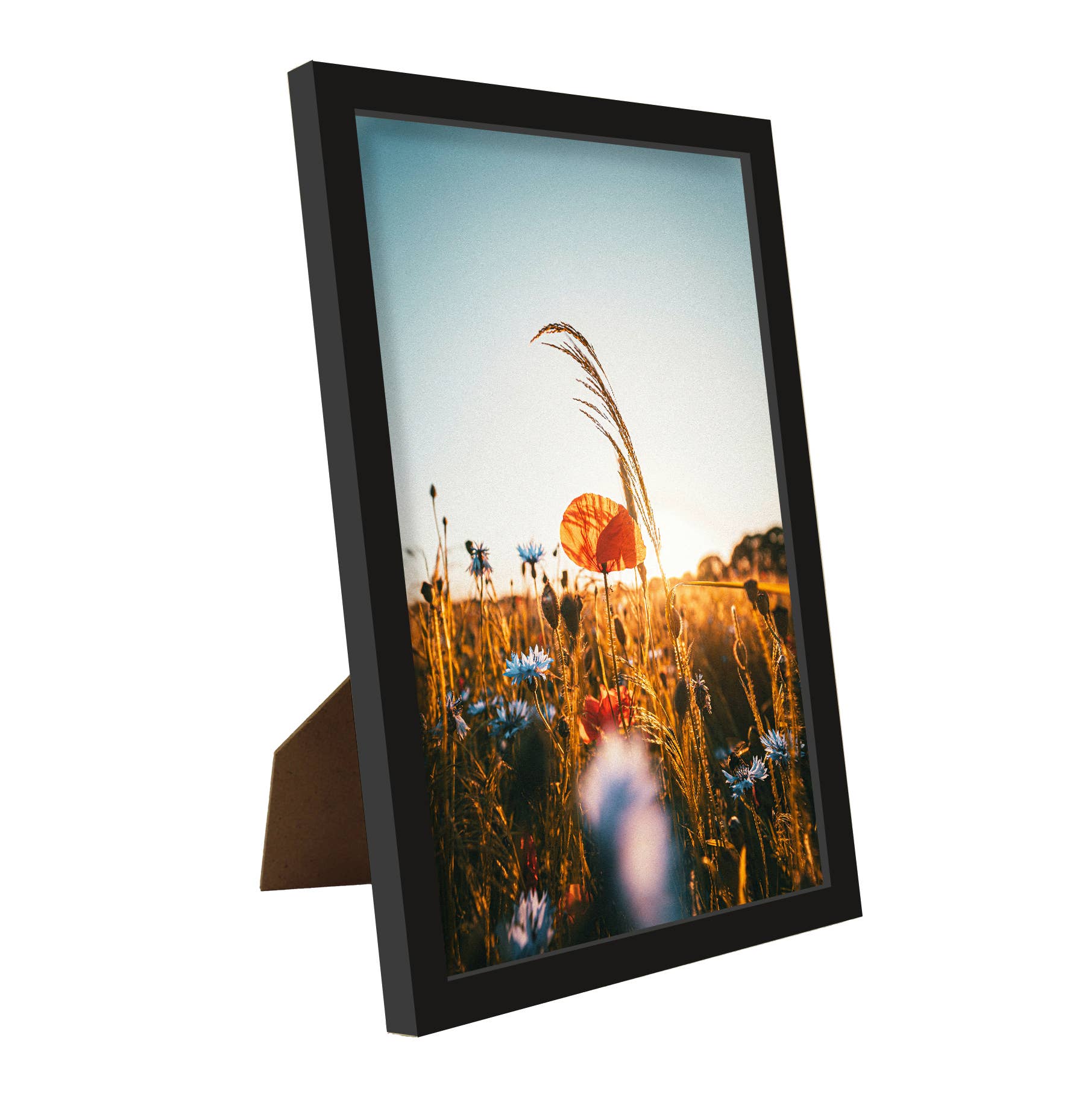 Close Up GmbH - Wholesale Picture Frame - Poster frame, picture frame 20 x 30 cm black2