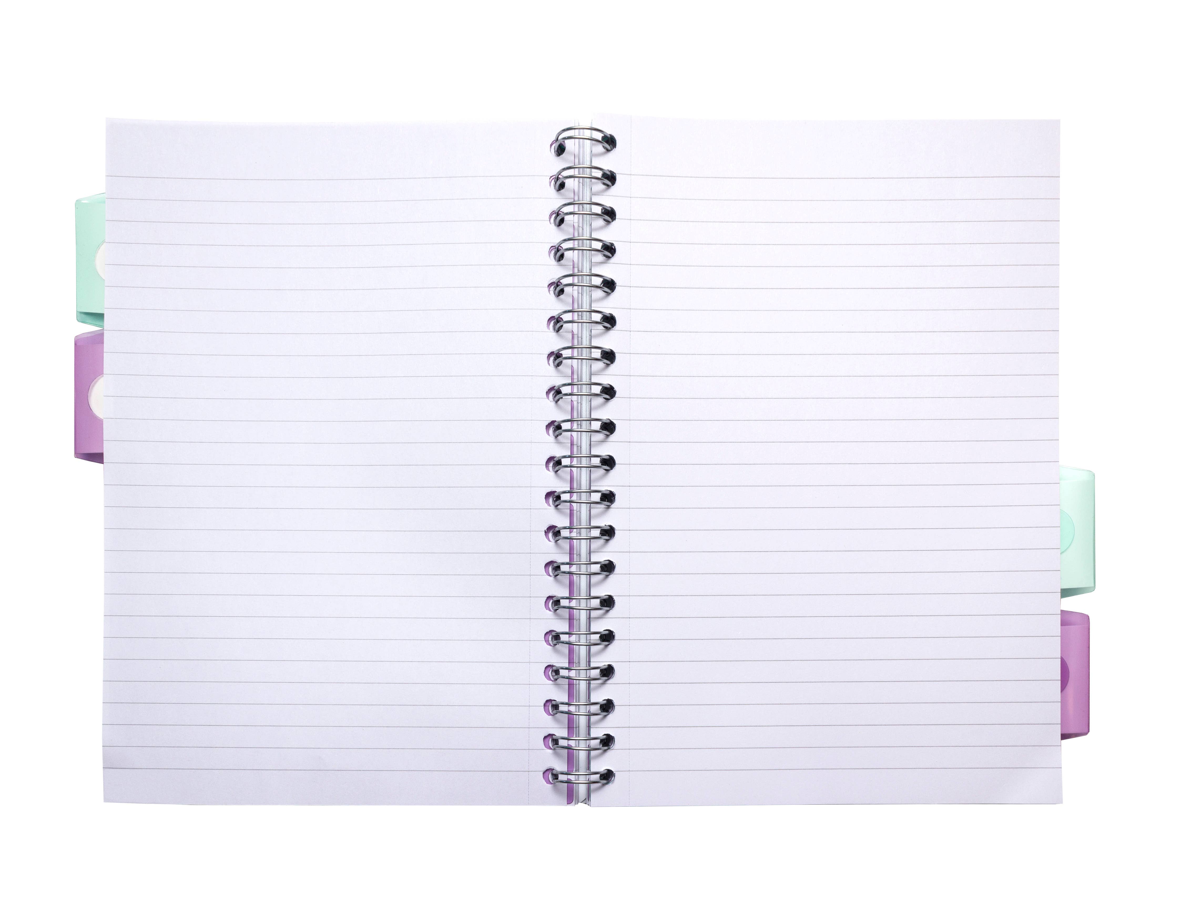 Pukka Pads North America - Wholesale Notebook - Pastel B5 Project Book - assorted 3-pack5