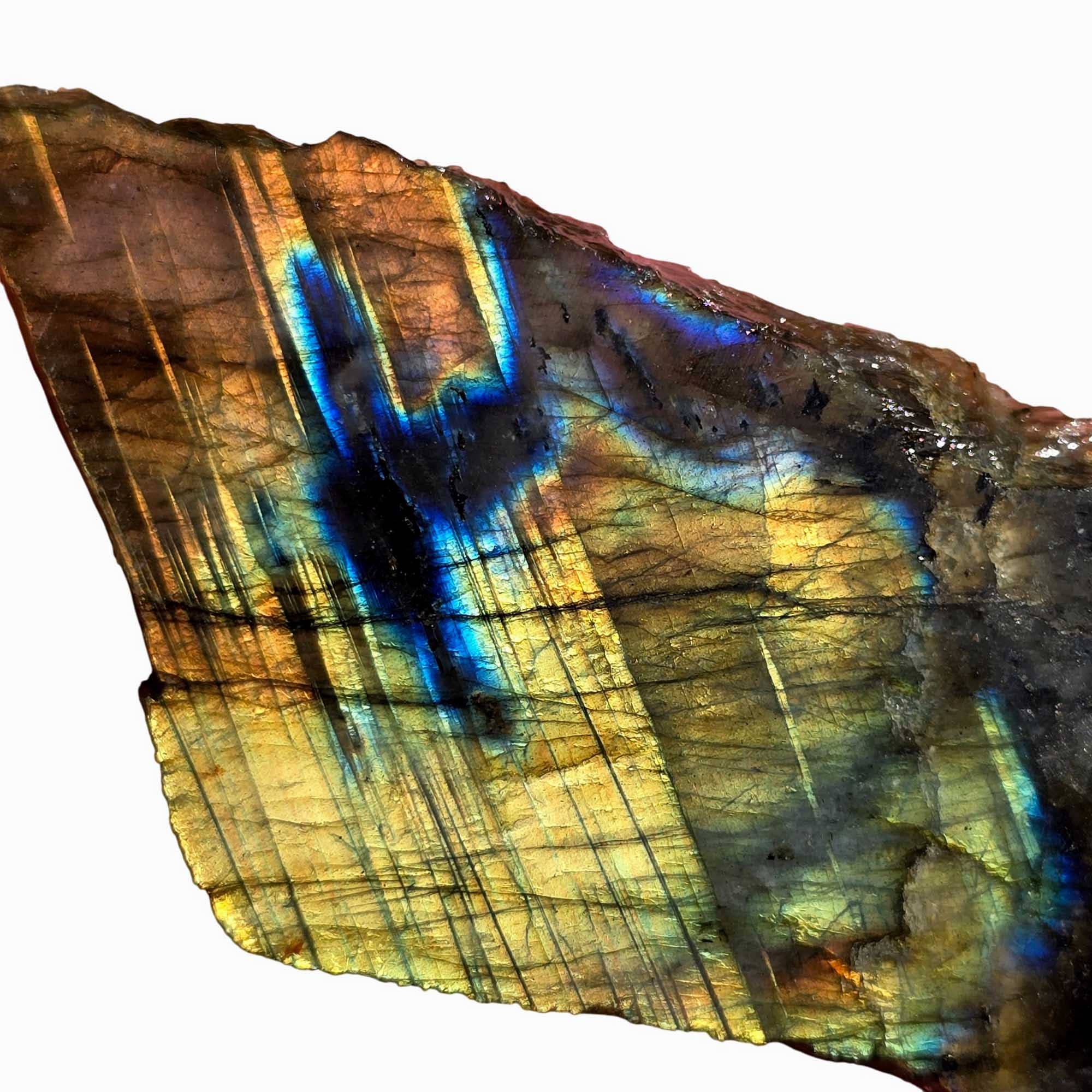 Lapidary Central - Wholesale Spiritual Stone/Crystal - Labradorite Slab - Green Blue Flash - Color Play Display1