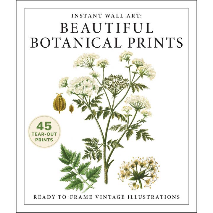 Instant Wall Art: Beautiful Botanical Prints by Adams Media for wholesale by Simon & Schuster UK