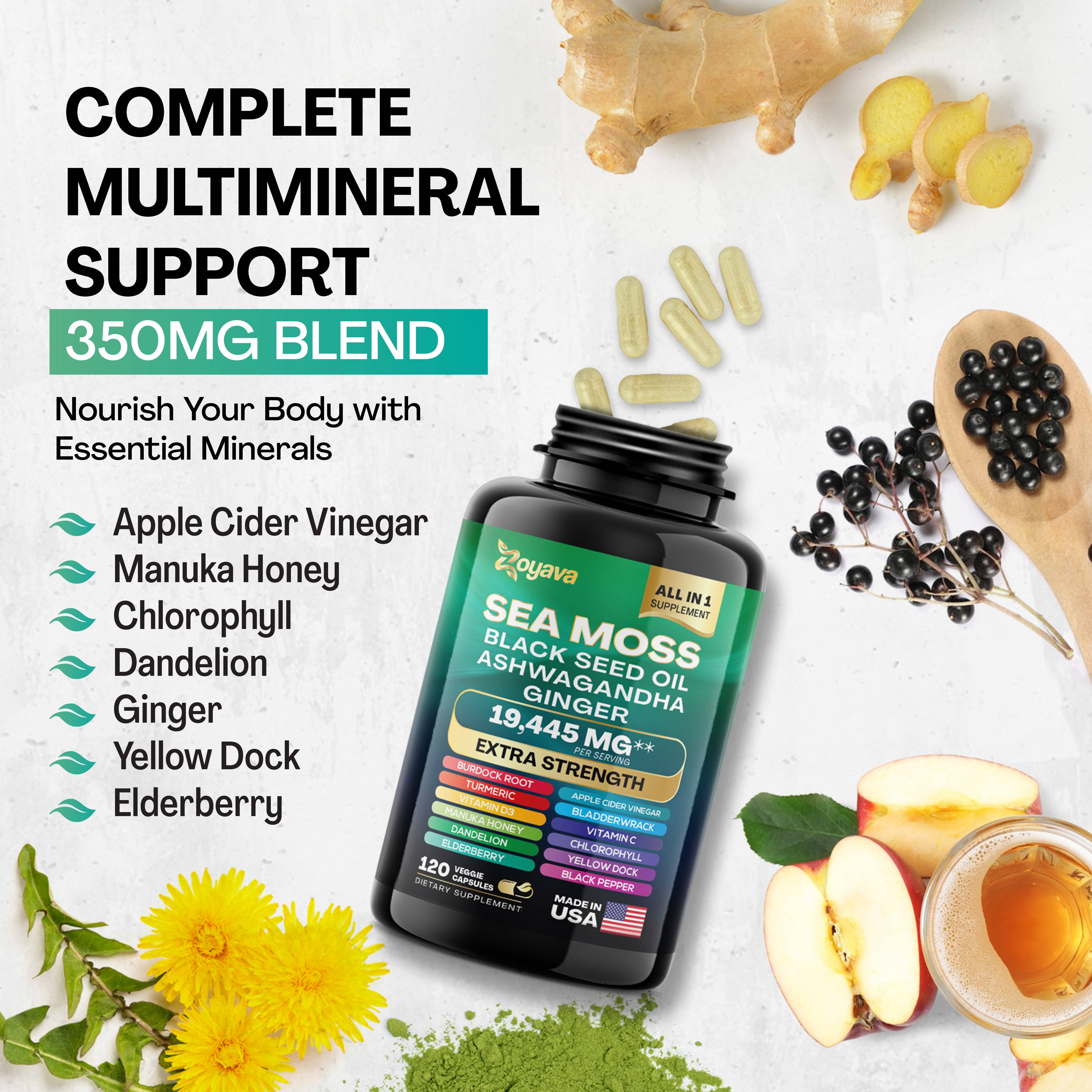 Zoyava – Großhandel Nahrungsergänzungsmittel/Vitamin zum Einnehmen – Sea Moss 16-in-1 Magic Moss Super Blend – 19.445 mg12