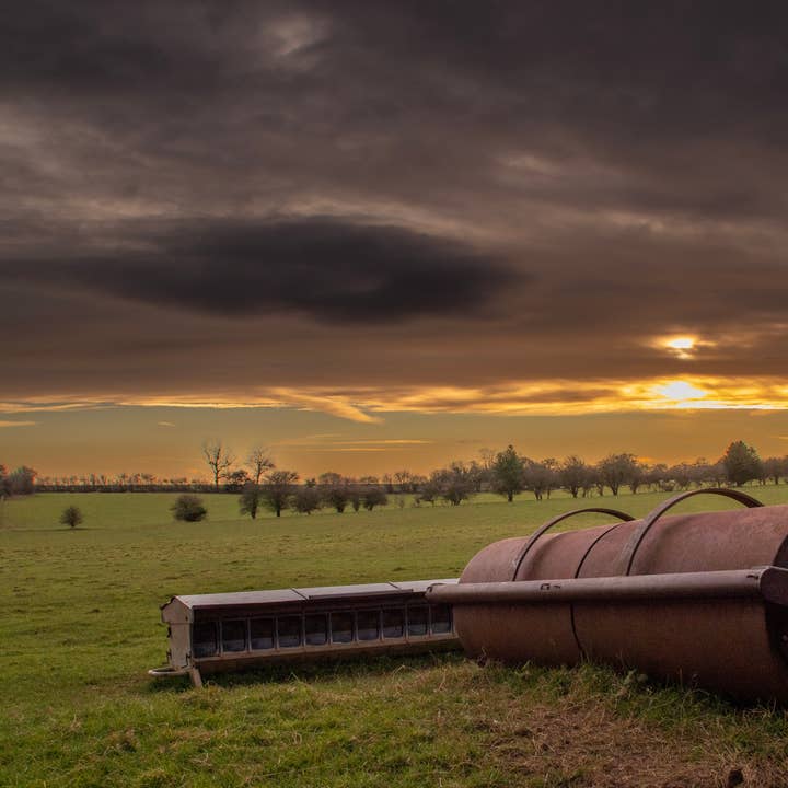Campi agricoli Sunset per la vendita all'ingrosso da parte di Chilled Photography