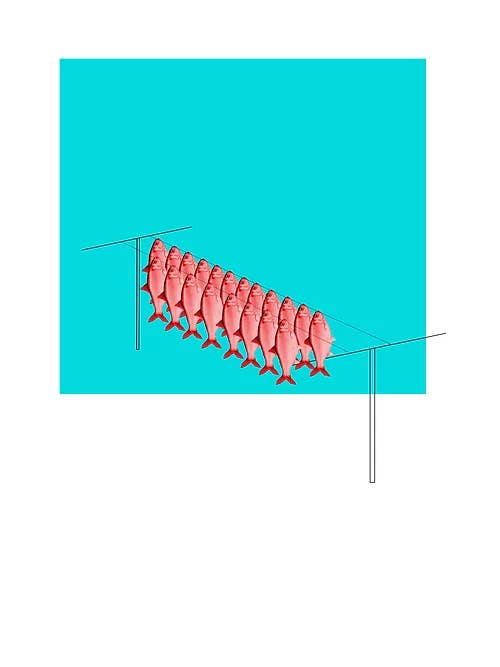 Arenque rojo colgando para secar para venta al por mayor de Siobhan Harton Studio