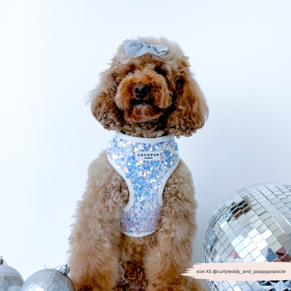 Cocopup London - Vendita all'ingrosso Pettorina - Cani - Imbracatura LUXE Party con Paillettes Olografiche21