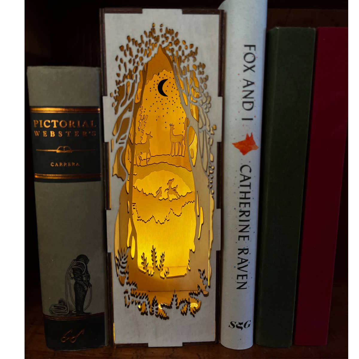 Squirrel Tacos Papercuts - Wholesale Bookend - Fantasy Book Nook Lighting - Deer in the Woodland Forest1