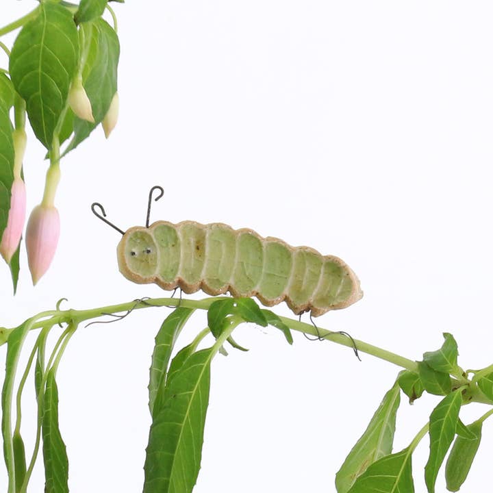 Cara Caterpillar Plant Hugger Decoration for wholesale by Habulous