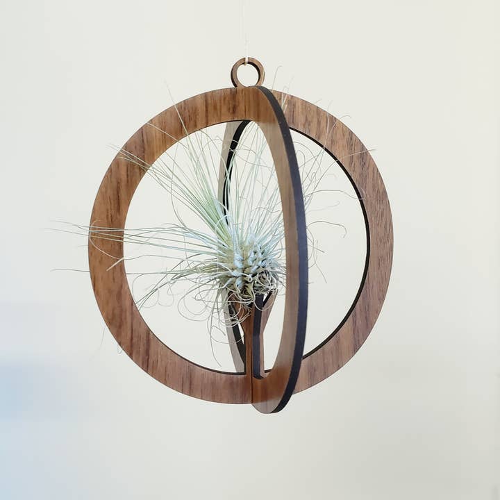 Air Plant Hanger - Small Hanging Circle Drop for wholesale by Catchpenny
