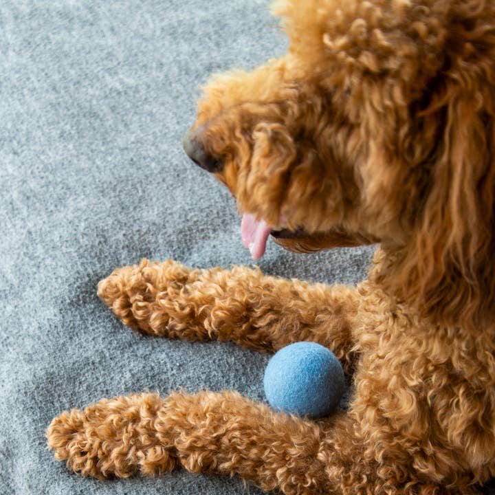 Nooee pet - Vente Jouet – chat et chien - Jouets pour animaux en boules de laine 100% faits main - Ensembles feutrés écologiques12