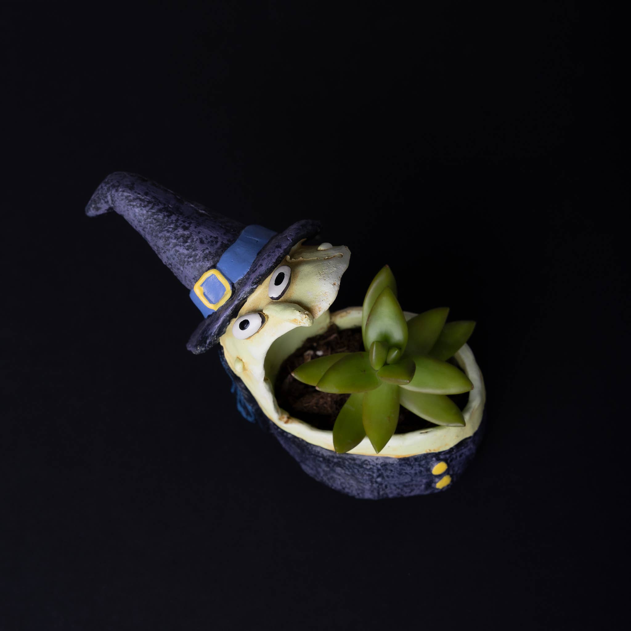 Cohasset Gifts - Wholesale Plant Pot - Winifred the Witch Blobhouse Halloween Planter2