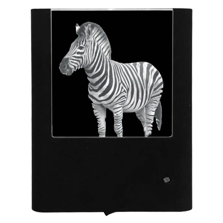 Engraved Zebra for wholesale by Nightlight Studio