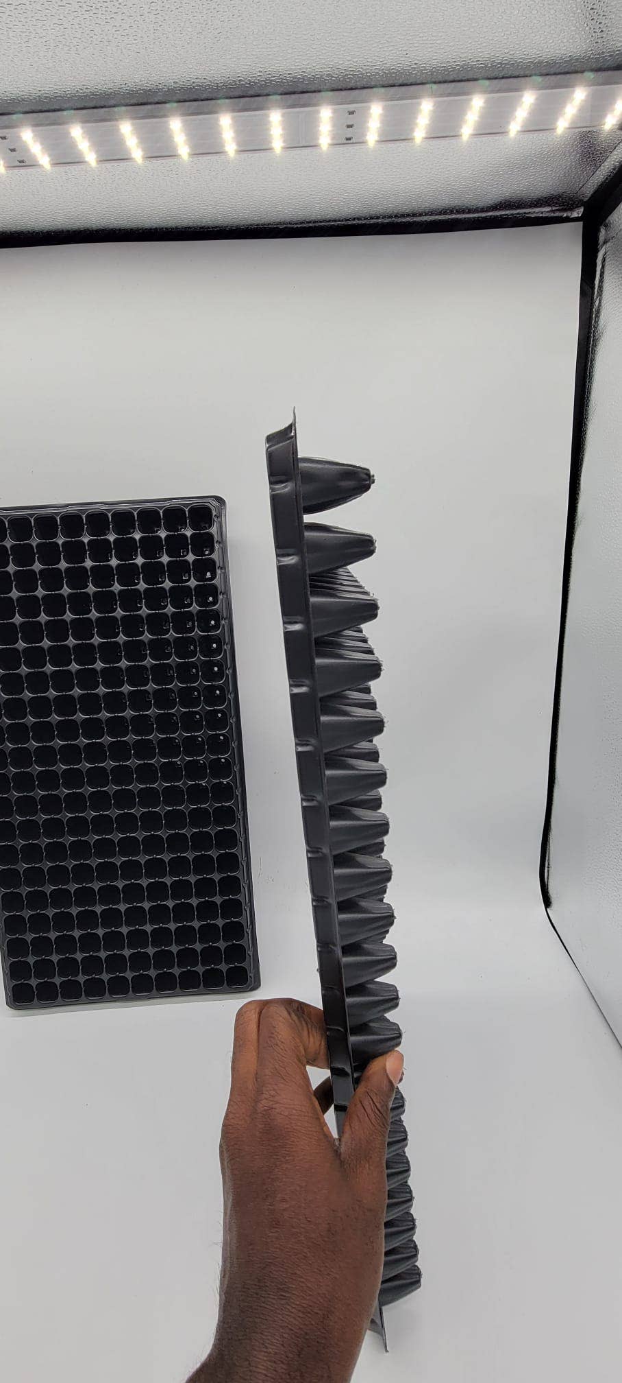 Wise Farmer - Wholesale Planting/Potting Soil - 200 Cell Seedling Trays| Seed Starter Kit Plastic tray3