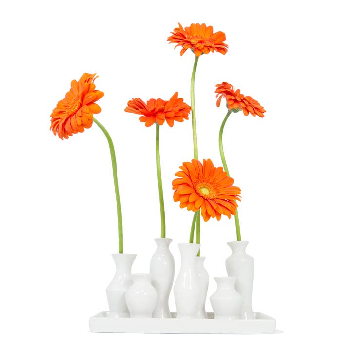Made By Humans Designs - Wholesale Vase - Tray of Vases