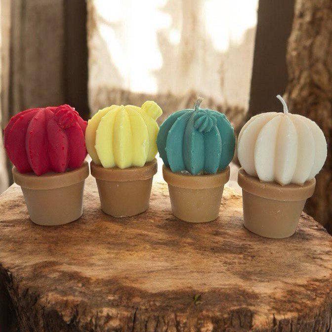 Karly’s Candles - Wholesale Novelty candle - Mini Cactus Candle: Soy Wax Succulent, Plant Lover Gift8