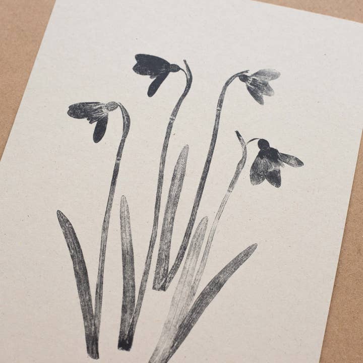 Alicia Breakspear - Wholesale Art Print - Botanical Art Print A5 A4 A3 Snowdrops Flower 3