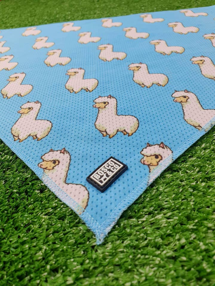 Bandana rafraîchissante Bosco & Co : alpaga bleu pour la vente par Bosco & Co