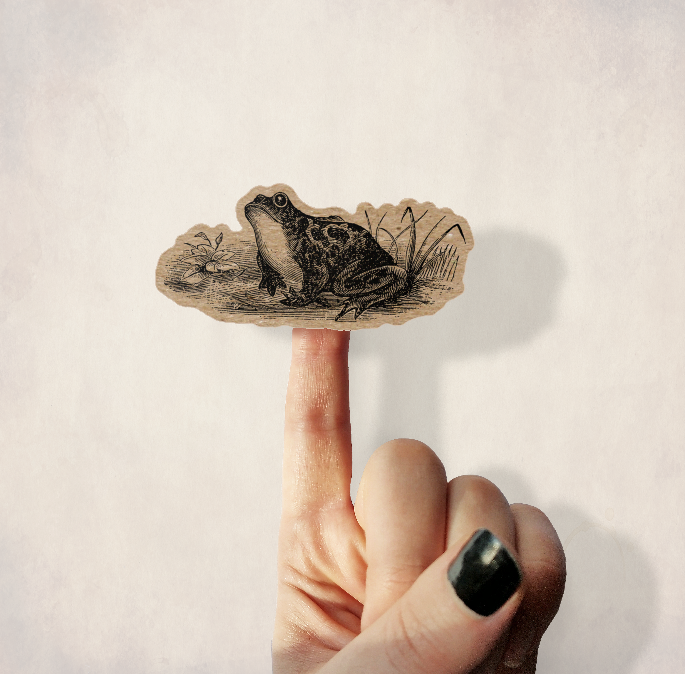 BoyPilot Goods - Wholesale Sticker - Vintage Frogs Sticker Sheet - Cute Cottagecore Antique Frog2