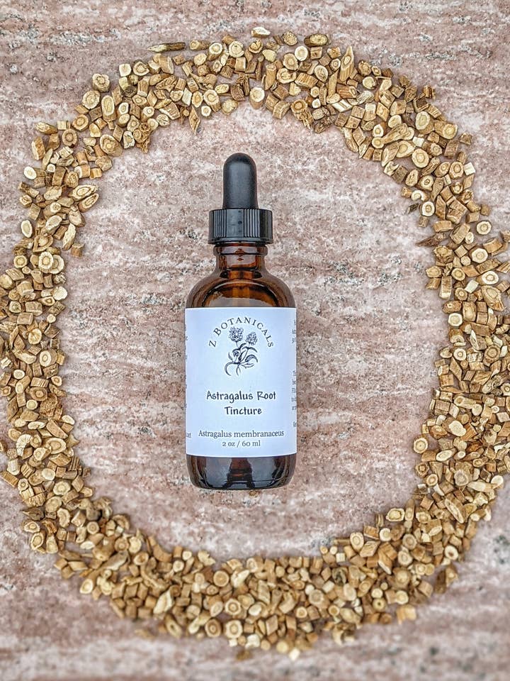 Astragalus Tincture, 2oz for wholesale by Z Botanicals & Hemp Co.