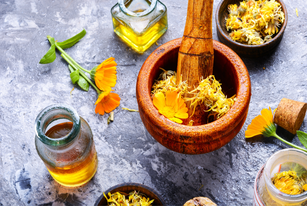 Potion 58 - Wholesale Healing Salve/Balm/Cream - Potion 587