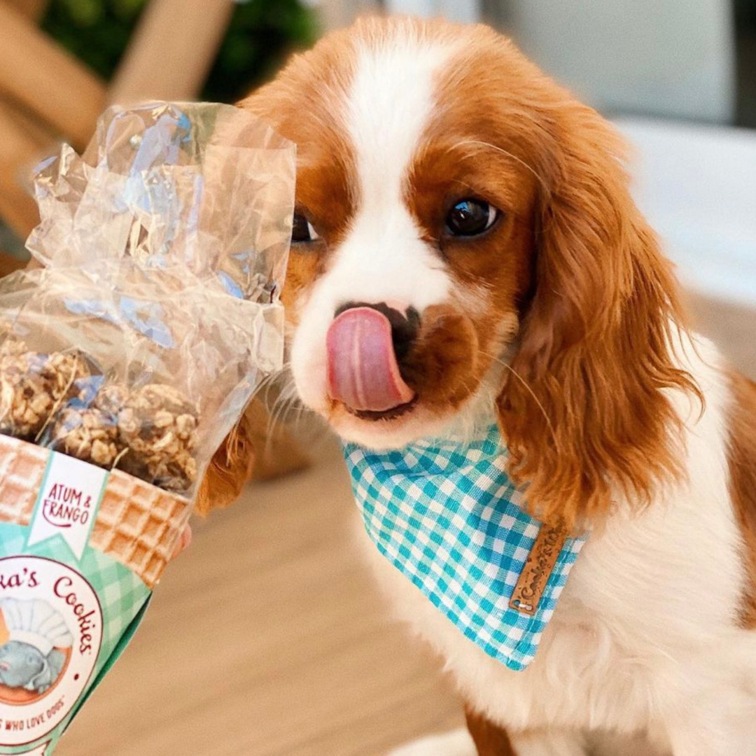 Cooka's Cookies - Wholesale Pet Treats - Dog - Beijinhos - Crunchy and Natural Chicken and Tuna Dog Treats4