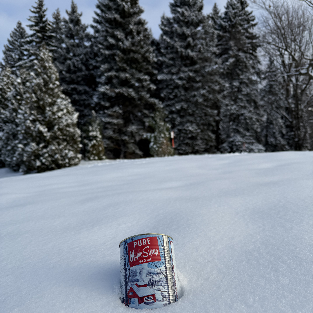 Seracon - Wholesale Jar/filled candle - Maple Syrup Candle – 540 ml Iconic Tin Can (Wood wick)5