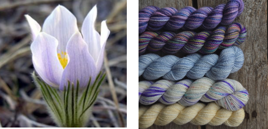 Koigu Wool Designs - Vente Fils à tricoter - Boîtes de Peinture de Fleurs Provinciales (ensembles de mini-écheveaux)18